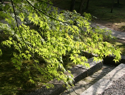 c0144185_22472865.jpg
