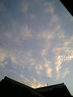 e0100589_225459.jpg