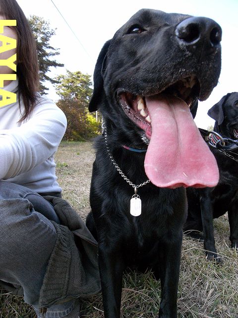 a0093592_0552142.jpg