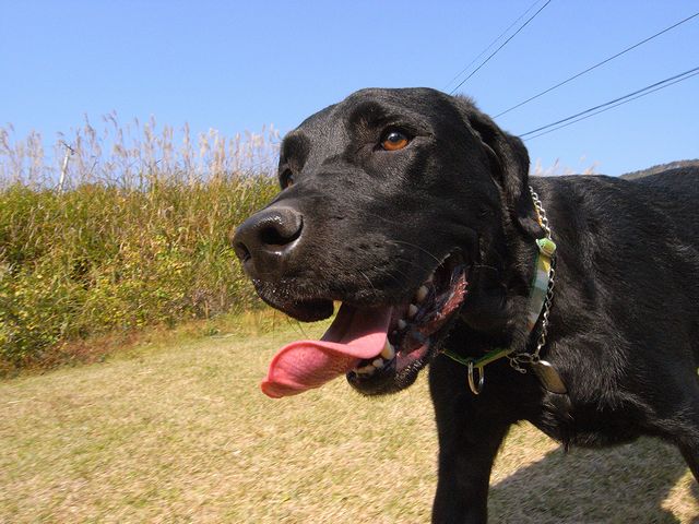 a0093592_134759.jpg
