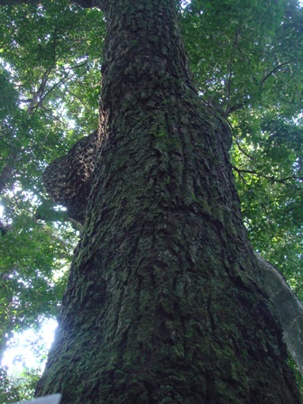 e0111793_15133153.jpg
