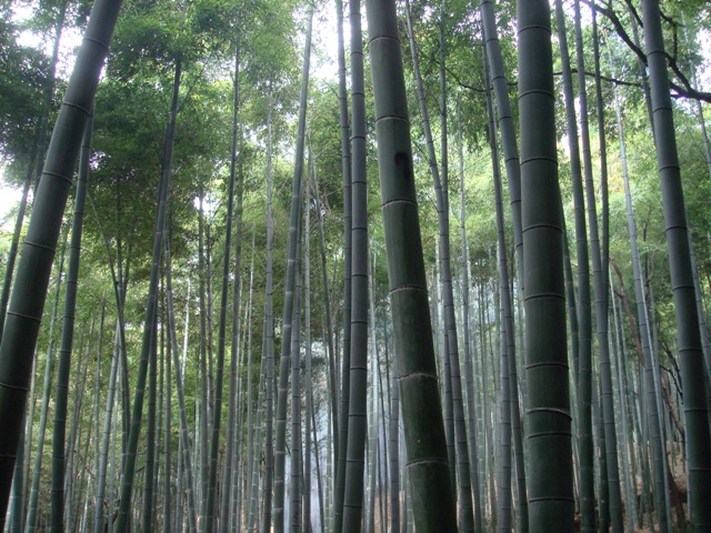 e0111793_5514449.jpg