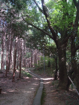 e0111793_5522132.jpg