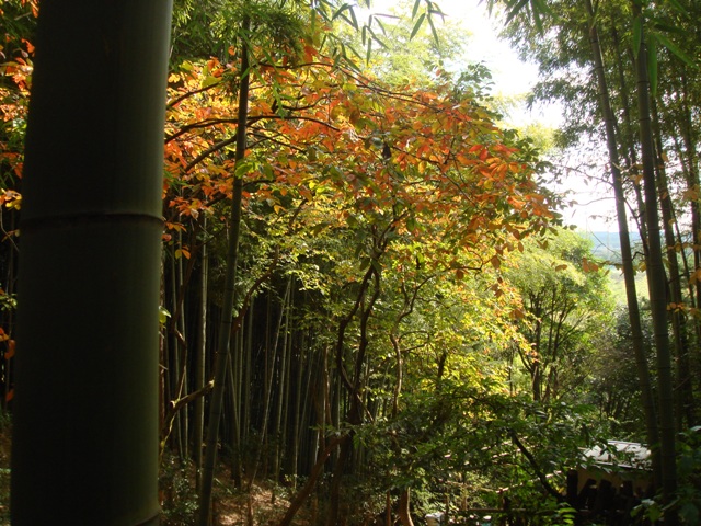 e0111793_552359.jpg