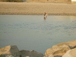 f0153998_9252791.jpg