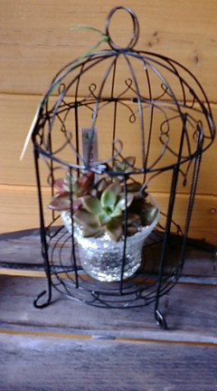 c0152002_18351071.jpg