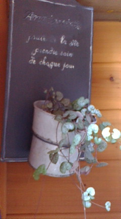 c0152002_18355394.jpg