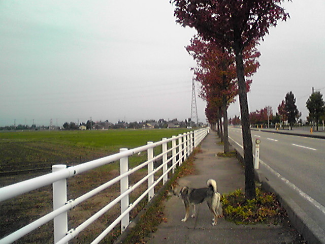 f0079202_16282327.jpg