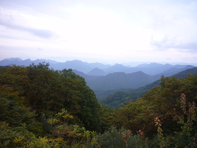 b0114403_20275362.jpg