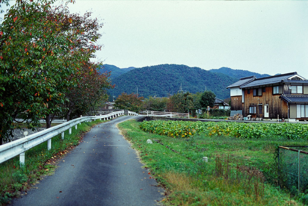 e0129805_6271279.jpg