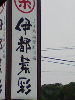 e0101106_2365241.jpg
