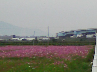 e0101106_2395950.jpg