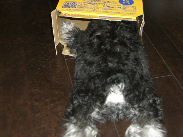 f0197317_2275973.jpg