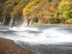 f0182121_2001253.jpg