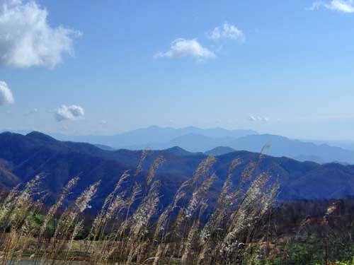f0147025_18255178.jpg
