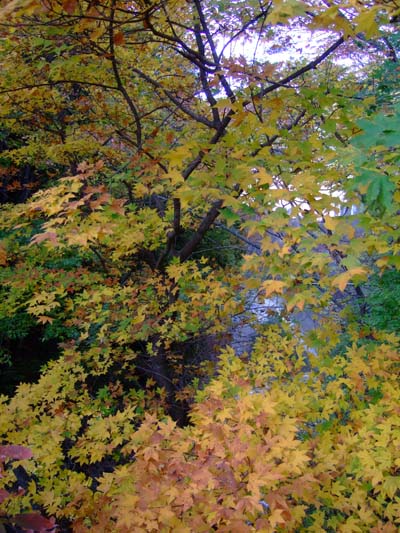 f0147025_19375257.jpg