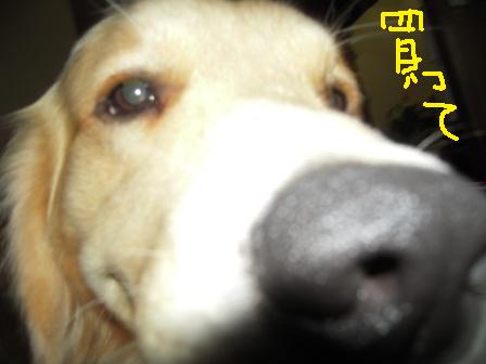 f0176830_20105957.jpg