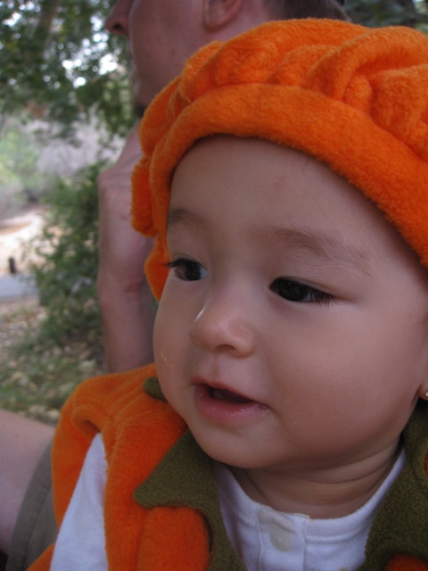 d0117456_11593521.jpg