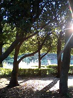 a0108859_20424544.jpg