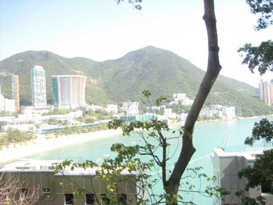 f0080168_1043625.jpg
