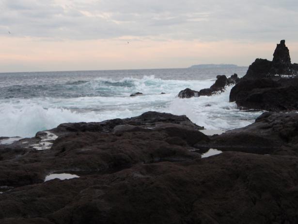 c0025471_1661993.jpg
