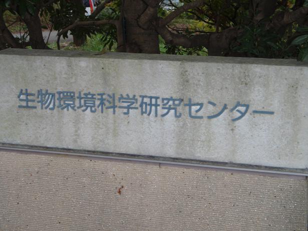 c0025471_1751537.jpg
