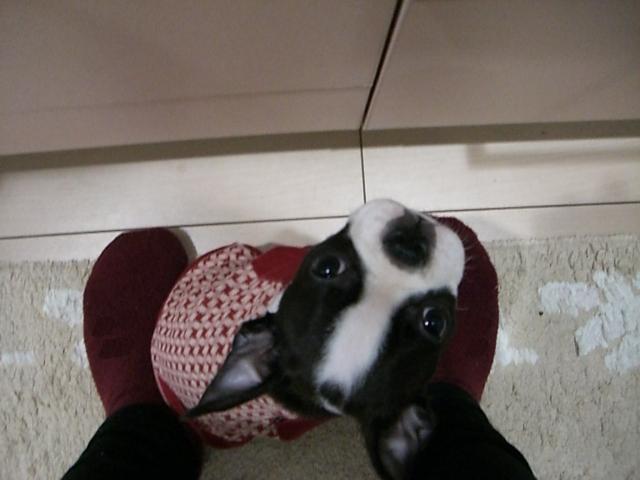 c0179376_2140532.jpg