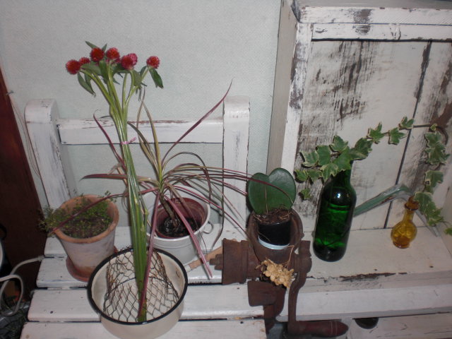 f0190577_18414435.jpg