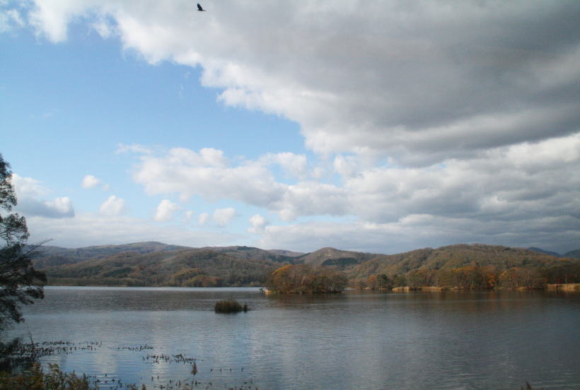 c0112479_2333666.jpg