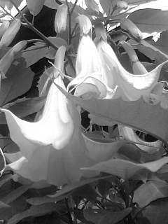 f0100480_203919100.jpg