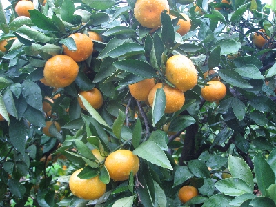 f0003283_18212387.jpg