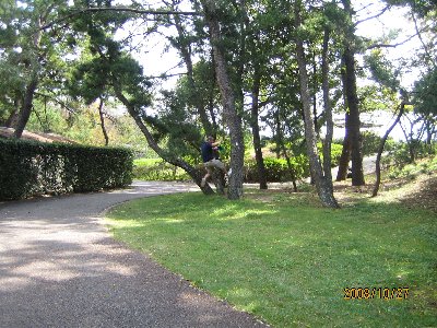f0046385_16202239.jpg