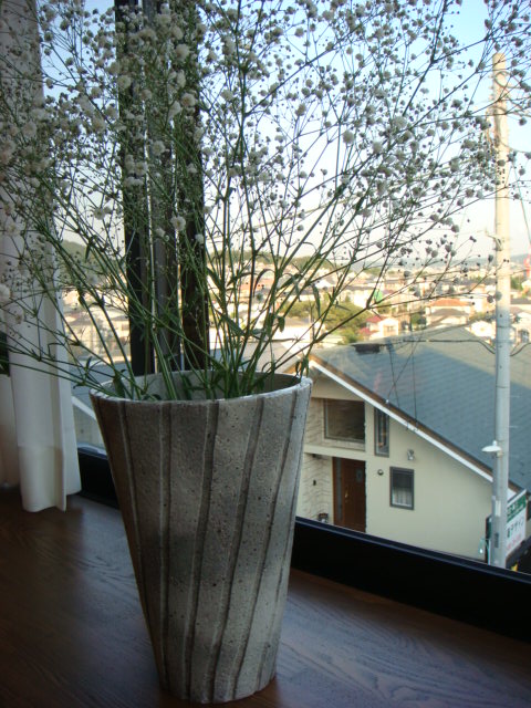 f0137694_817276.jpg