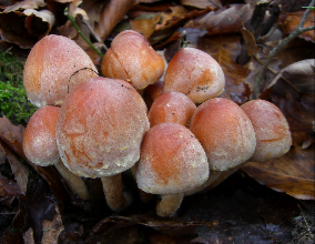c0151898_15134371.jpg