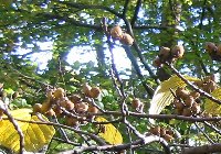e0122199_12212057.jpg