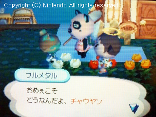 チャウヤン&フルメタル