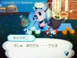 チャウヤン&フルメタル