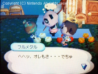 チャウヤン&フルメタル