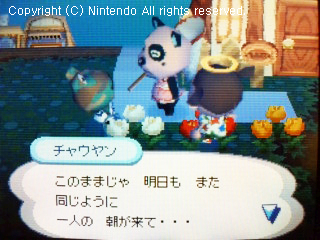 チャウヤン&フルメタル