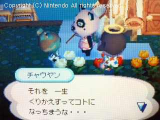 チャウヤン&フルメタル