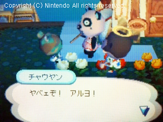 チャウヤン&フルメタル