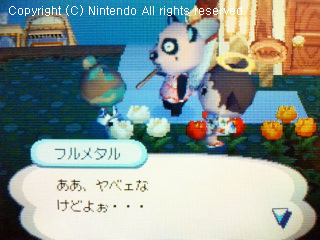 チャウヤン&フルメタル