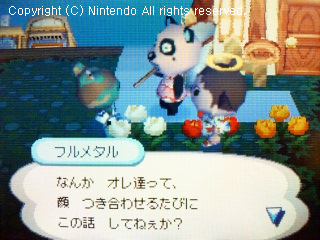 チャウヤン&フルメタル