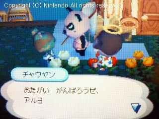 チャウヤン&フルメタル
