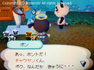 チャウヤン&ボン