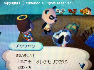 チャウヤン&フルメタル