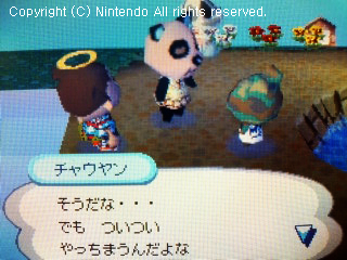 チャウヤン&フルメタル