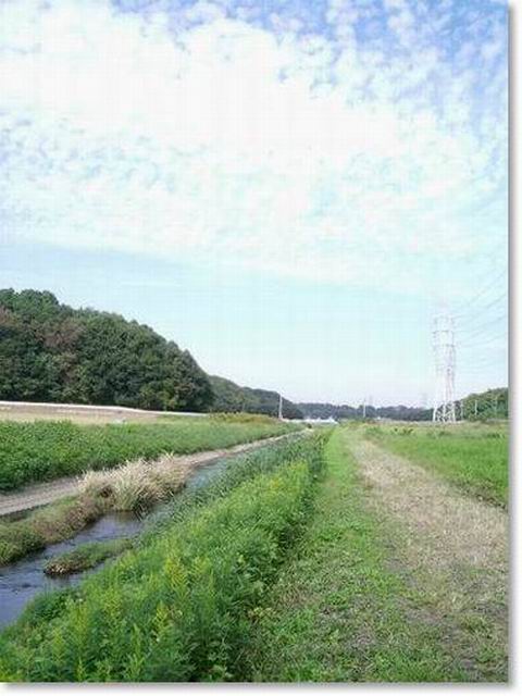 e0025300_14421692.jpg