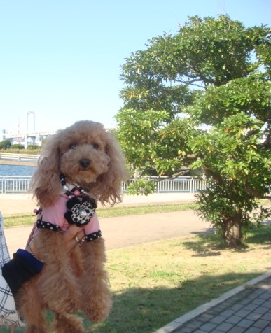 c0041207_22321476.jpg