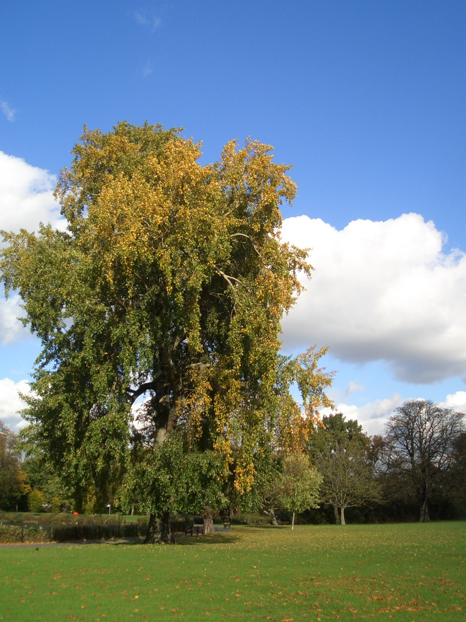 e0141909_2311570.jpg